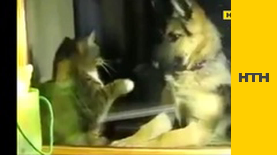 "Правда жизни. Профессиональные байки".