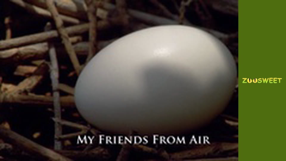 Моі друзі тварини. Малюки - серія 23