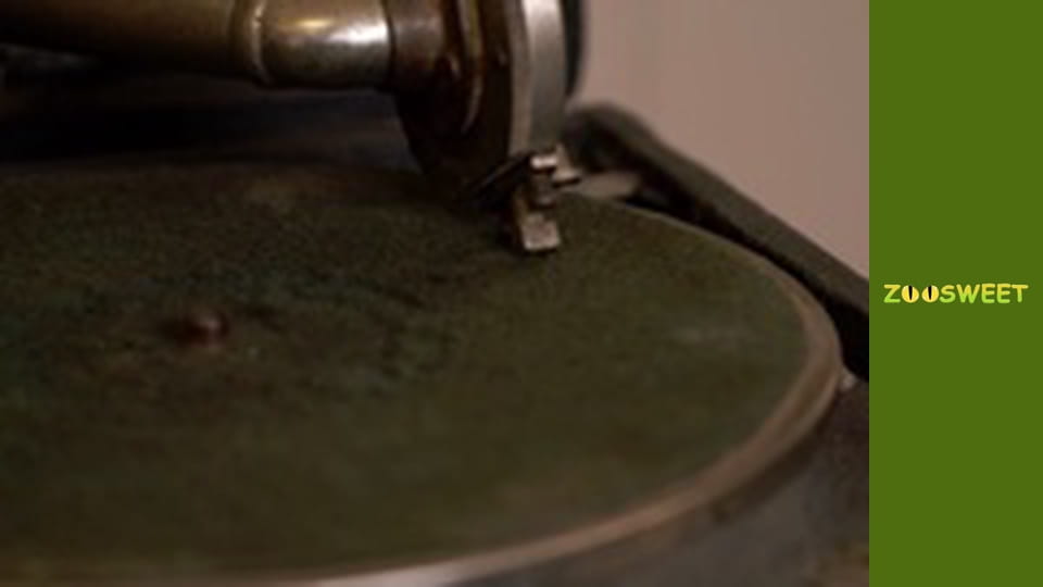 Сіяйа, Сезон 2, Випуск 13