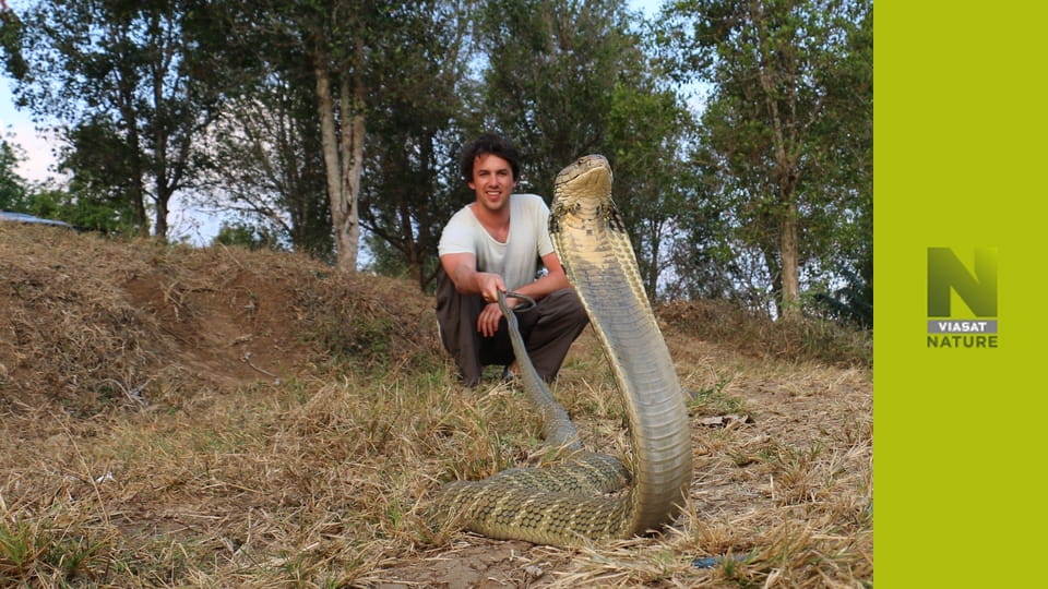 Ветеринар чудернацьких тварин S1E5