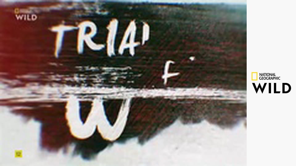 Zvířata v pohybu S1E3 - Příležitost