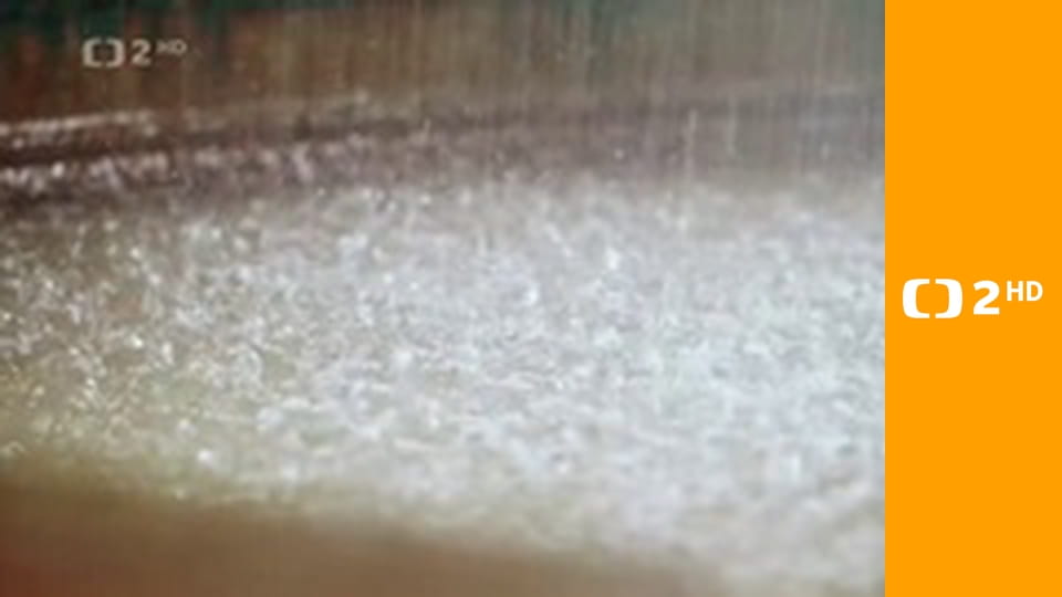 David Becher - Hippokrates Karlových Varů