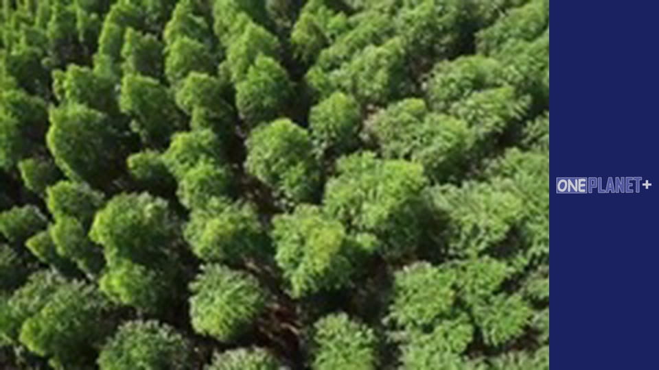 In search of knowledge. - episode 16