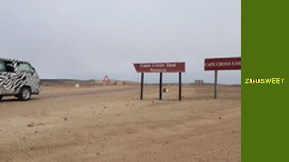 Сіяйа, Сезон 3, Випуск 13