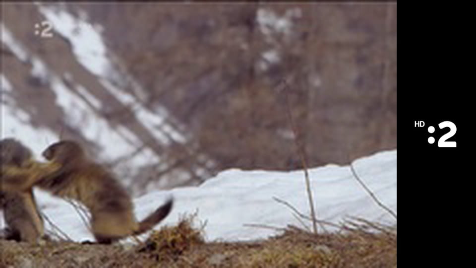 Zázračný miniateliér E62 - Biely anjelik