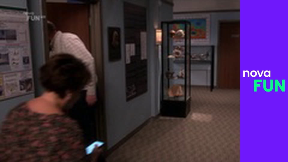 Teorie velkého třesku S11E7 - Reputace v sázce