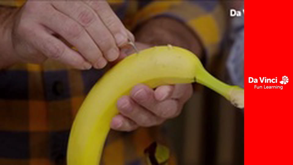 Исследование: «Наука на дому» - Верьте или нет