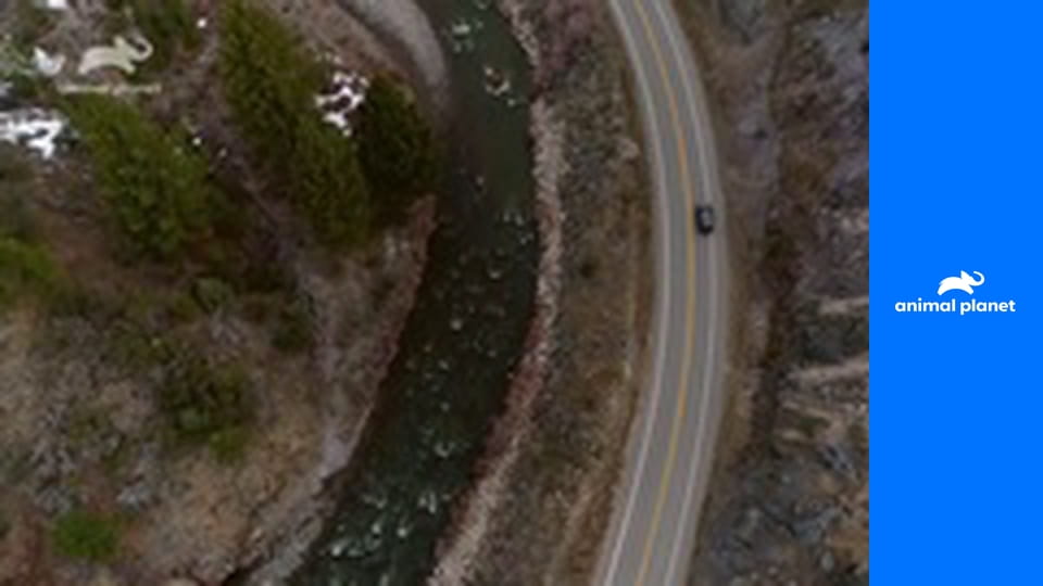 Stal jsem se kořistí S3E4