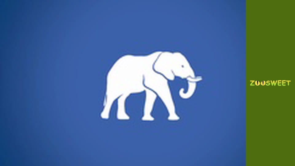 Дикі тварини Сан-Дієго - серія 21