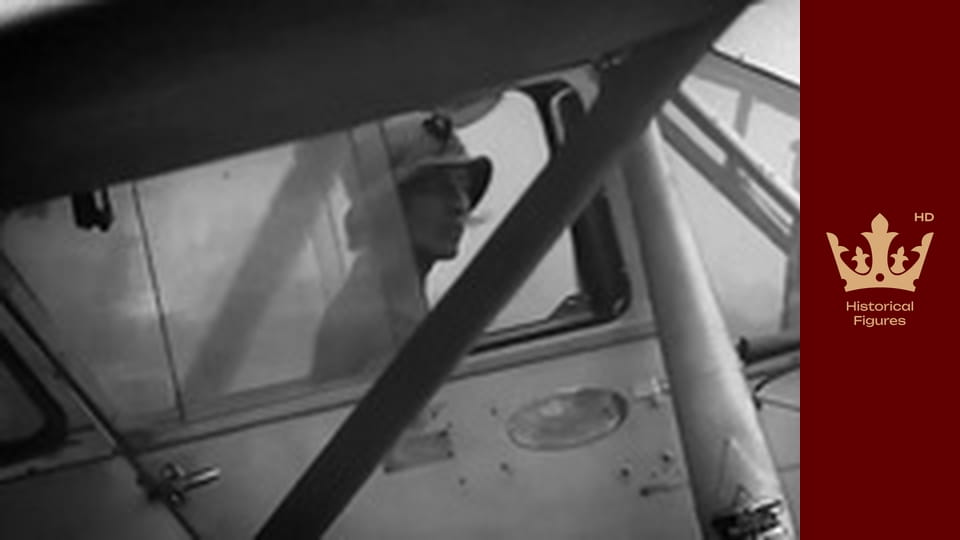 A Tale of Two Sisters - Amelia