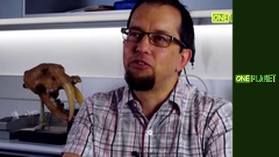 В пошуках істини, 2 еп.