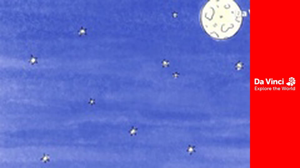 Дитинчата - Кенгуру