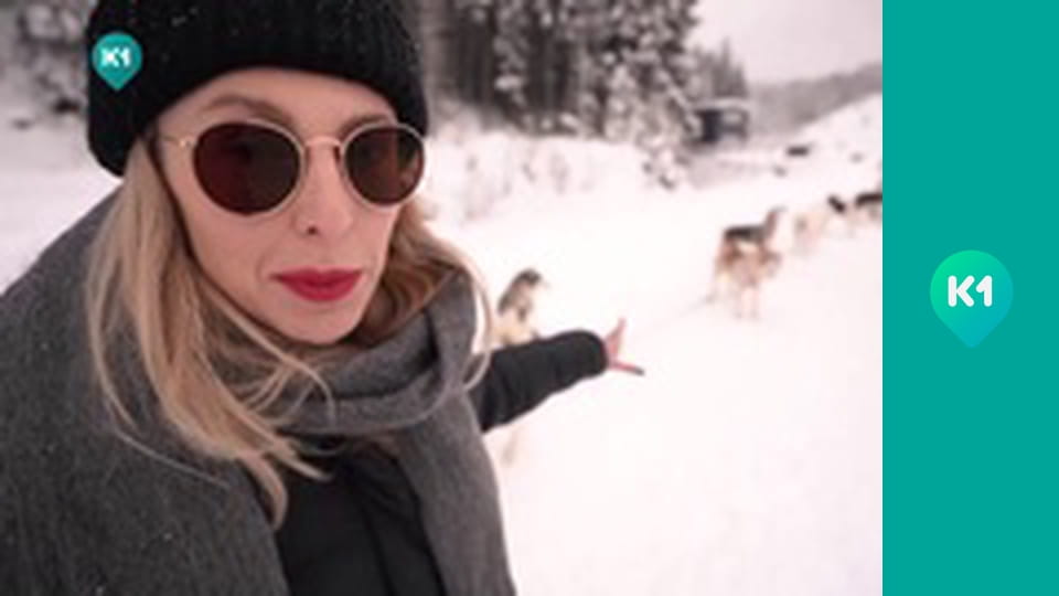 "Пригоди з Яною Метьолкіною".