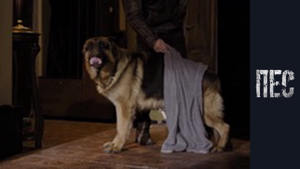 Пес, Сезон 2, Серія 21