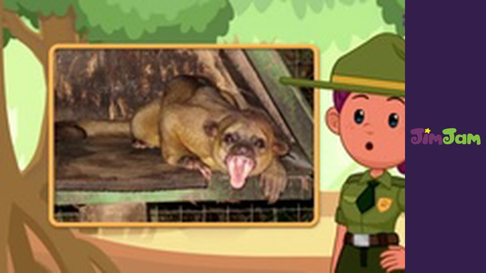 Leo the Wildlife Ranger S3E42 - Call of the Red-Crowned Crane