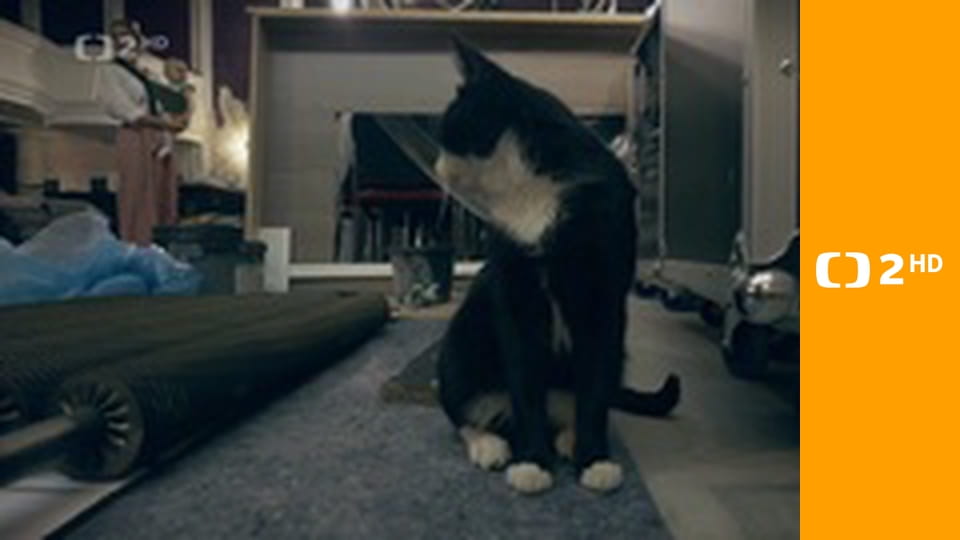 Voda, která zabíjí