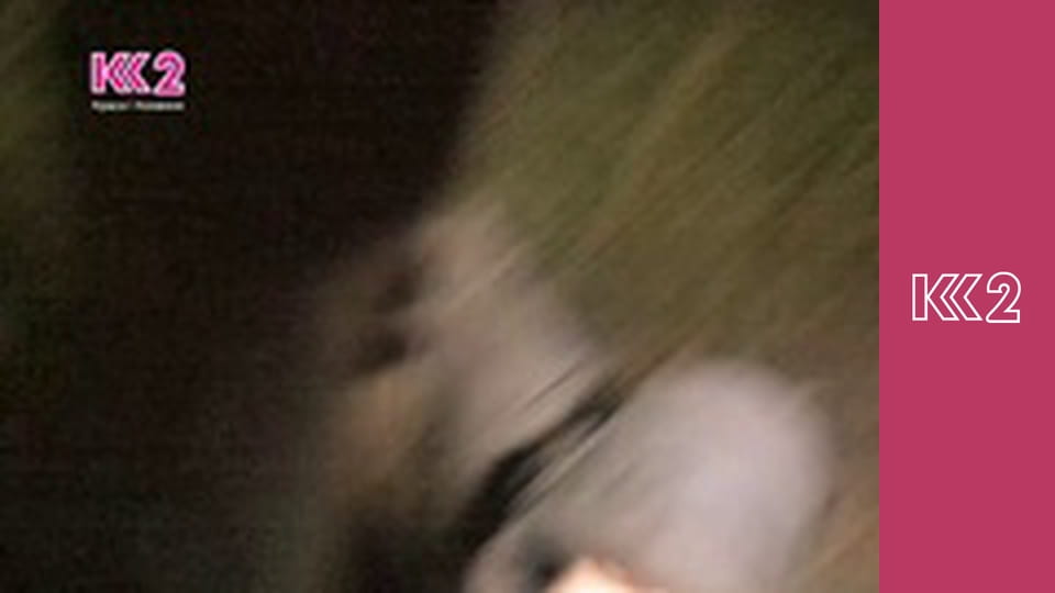 Смак Карпат E25 - Домашня паста з індичкою