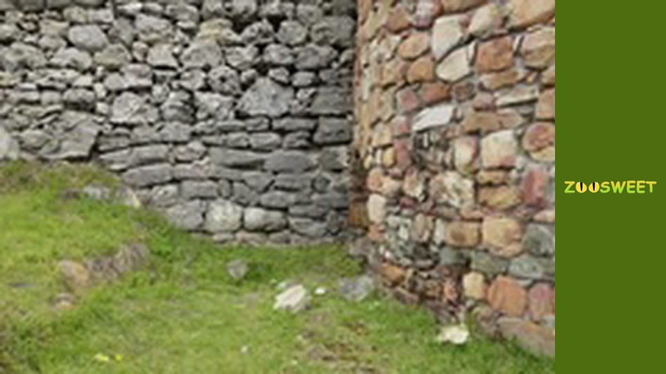 Сіяйа, Сезон 3, Випуск 3