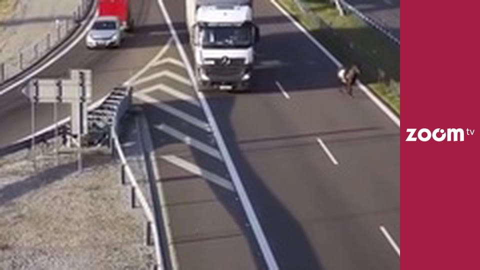 To leci w sieci S1E54