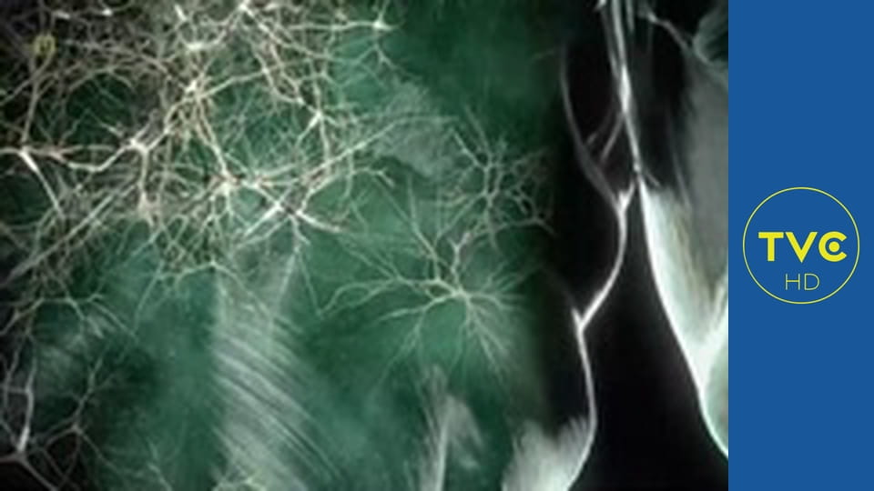 Tajemnice ludzkości E8 - Człowiek i metal