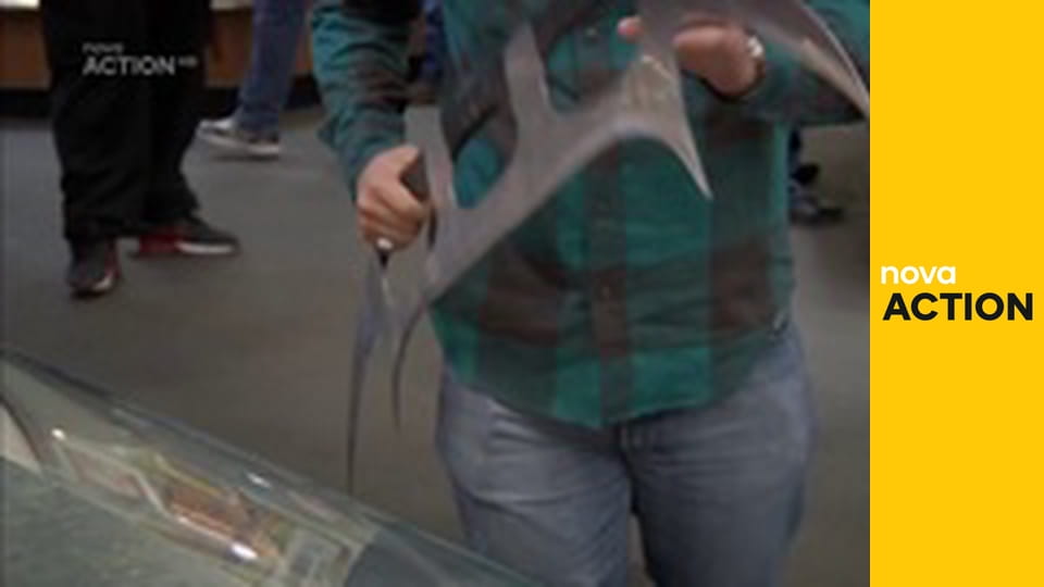 Mistři zastavárny S9E2