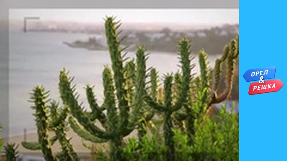 Шоппинг 1-2 сезон - выпуск 12 - Лос-Анджелес