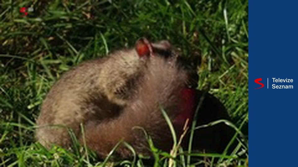 Kalendář přírody E9 - Září