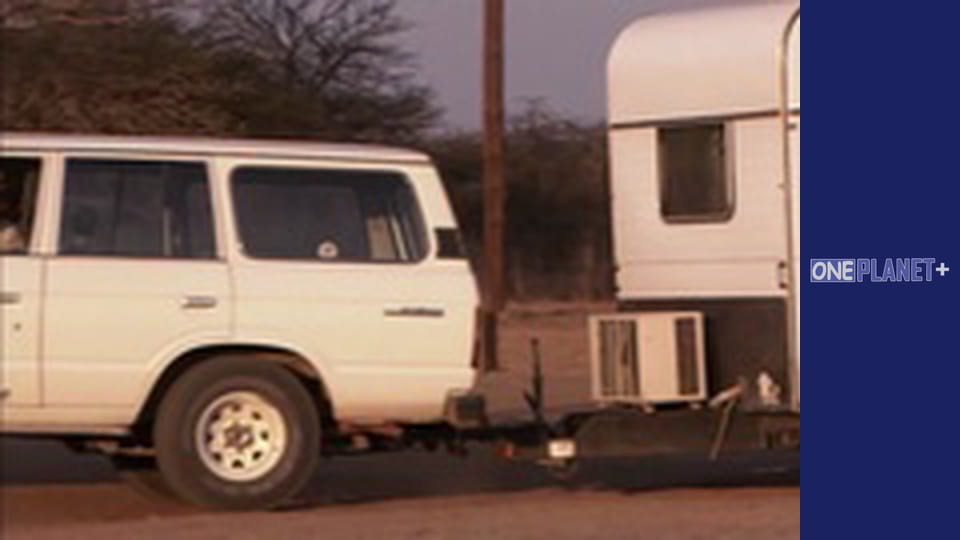 В поисках знаний. - cерия 21