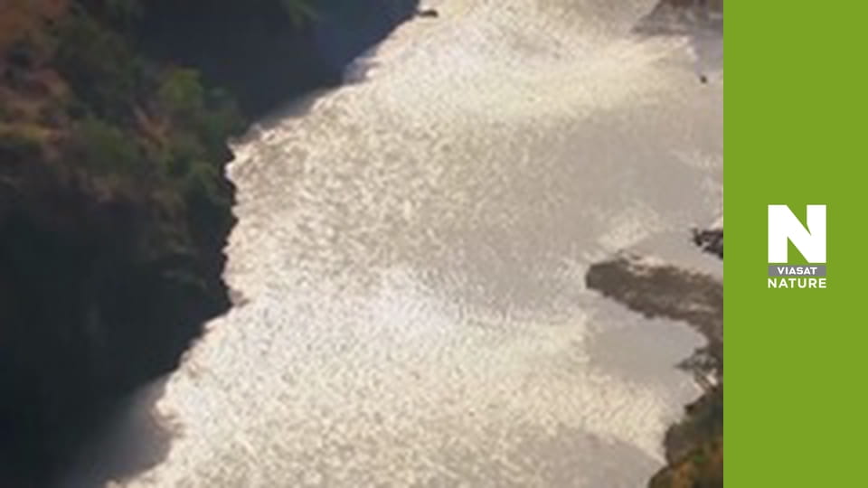 Нил: величайшая из рек - Дорога жизни в пустыне