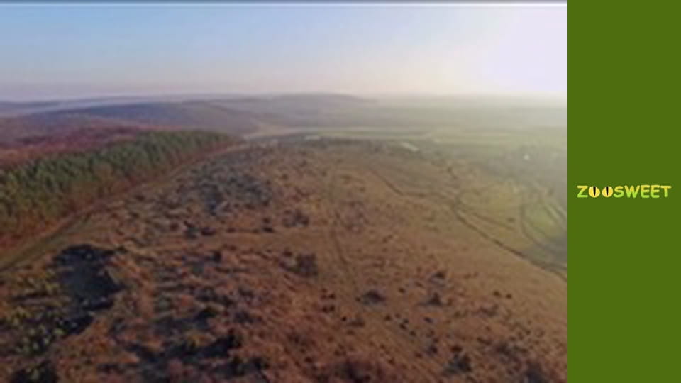 Світ дикої природи - серія 5