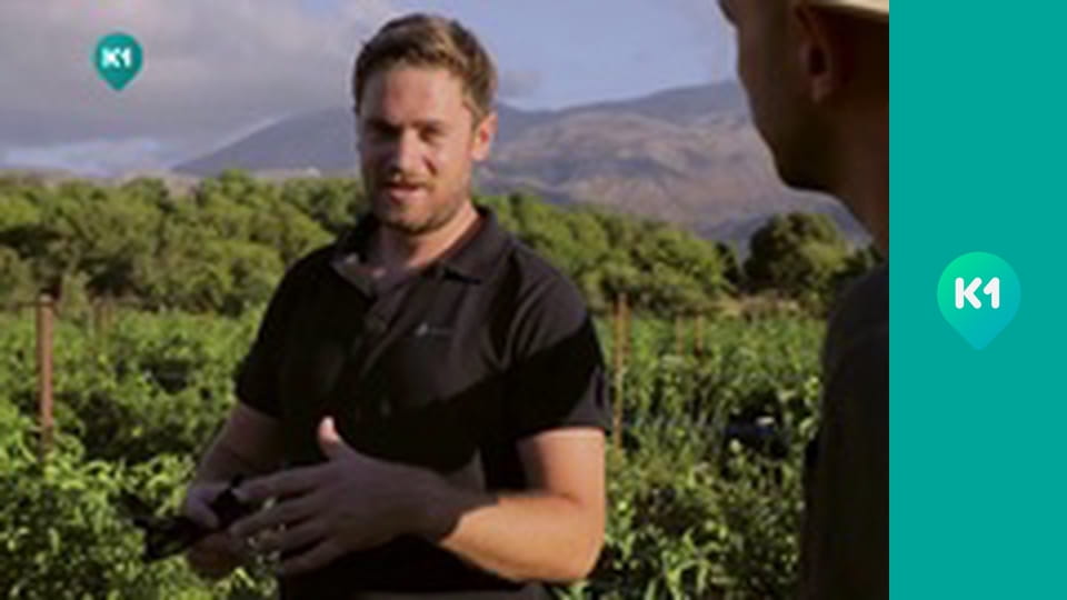 "Інший світ".