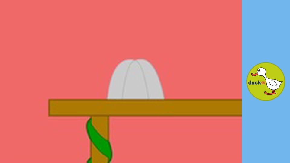 Finn and Fianna - Jelly club