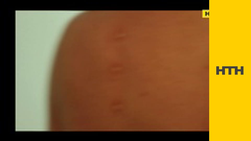 "Правда життя. Професійні байки".