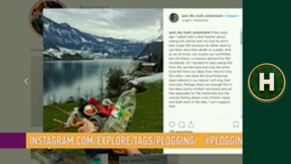 Північний Check-In