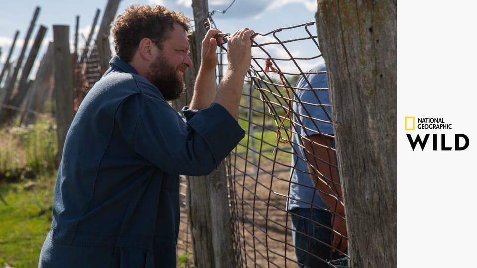 Невероятный доктор Пол S19E6 - Попридержи лошадей!