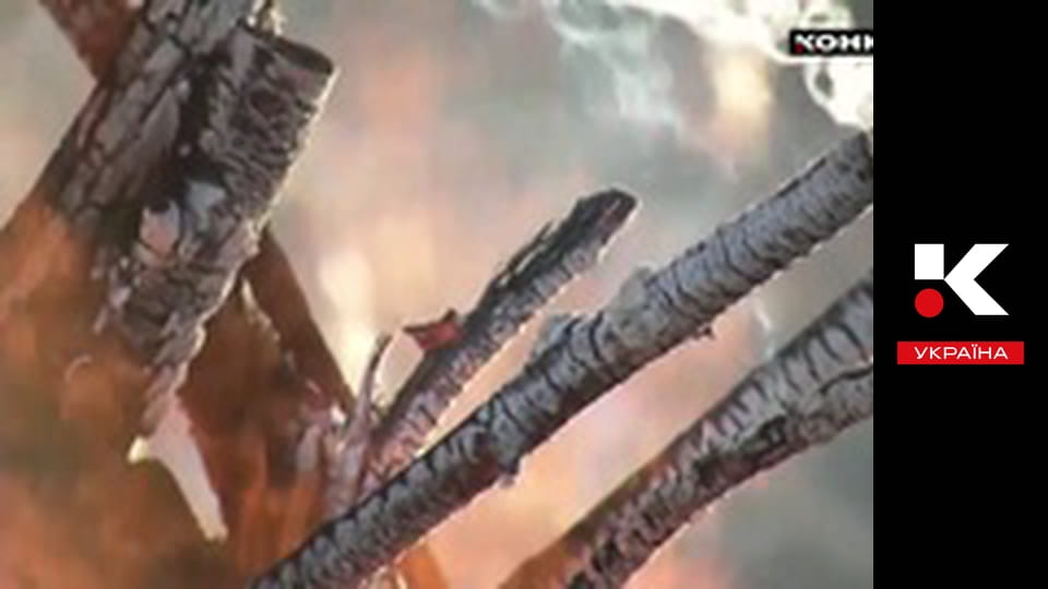 Пишемо історію.