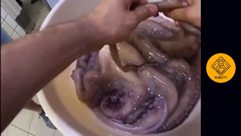 PRACA KUCHARZA - ILE ZARABIA SZEF KUCHNI?