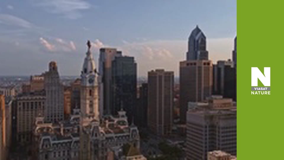 Еволюція - Відновлення