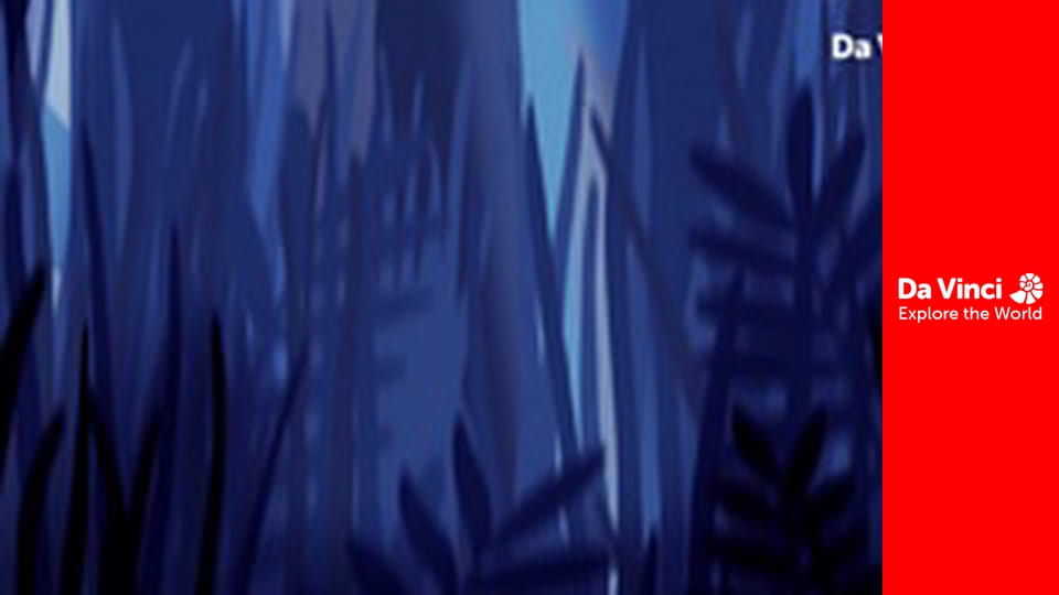 Дитинчата - Польова миша