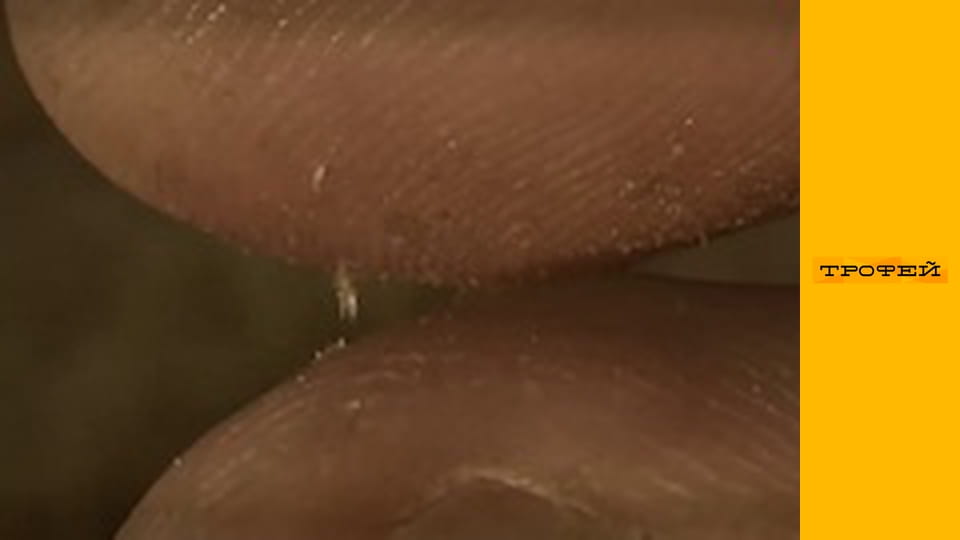 Адаптер Pro E20 - Pro