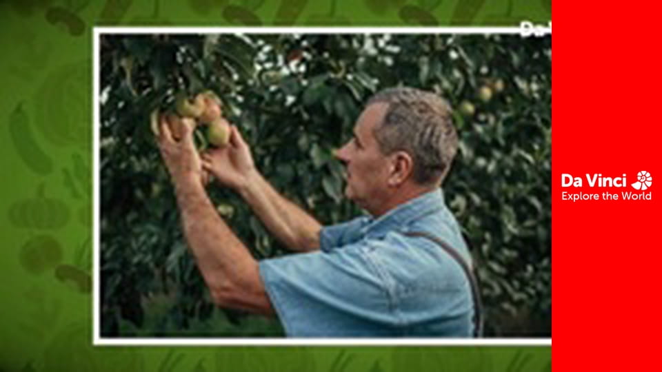 А ти знаєш? - Медді, дім і ти - Вирощування і приготування