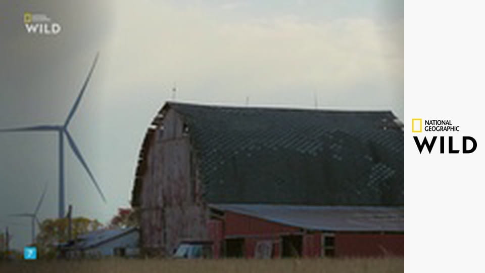 Skvělá farma doktora Pola S1E7 - Stoletá stodola