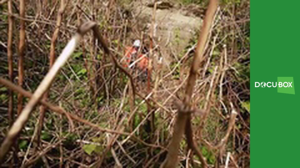 Detektywi historii S1E1 - Lądowanie w Normandii