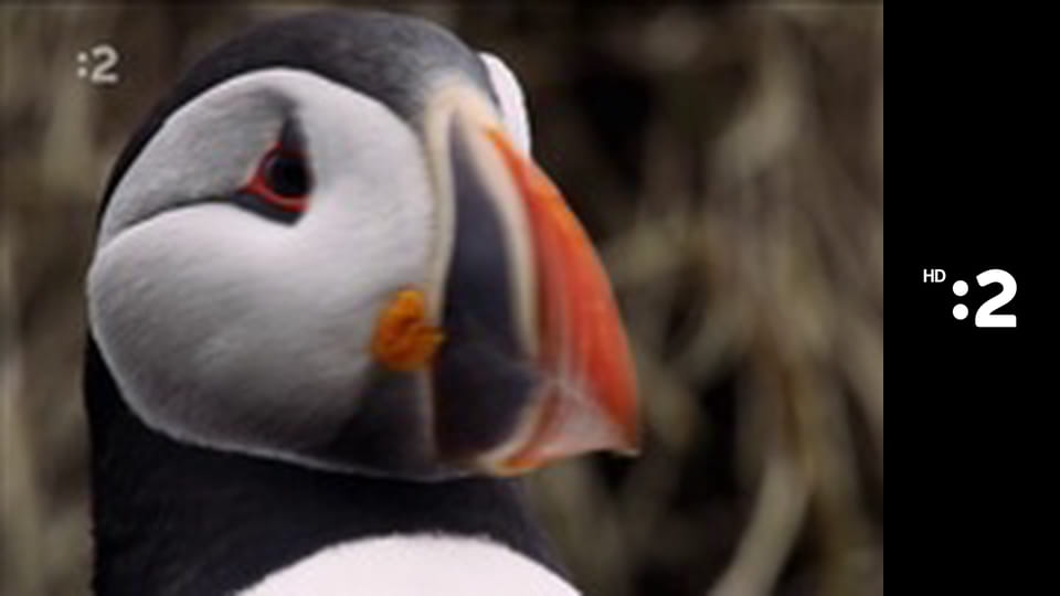 Slimák Maťo a škriatok Klinček E4 - Ako sa Maťo s Klinčekom opaľovali