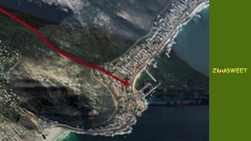 Сіяйа, Сезон 3, Випуск 6