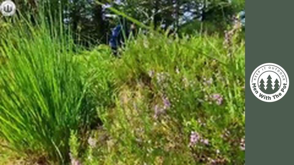 Beef cooked for 6 hours