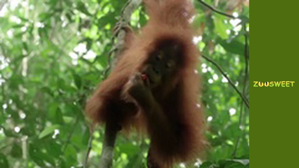 Моі улюбленці - серія 8