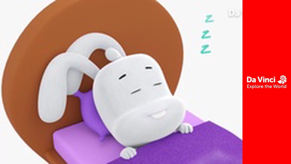 Бріко - Кришка