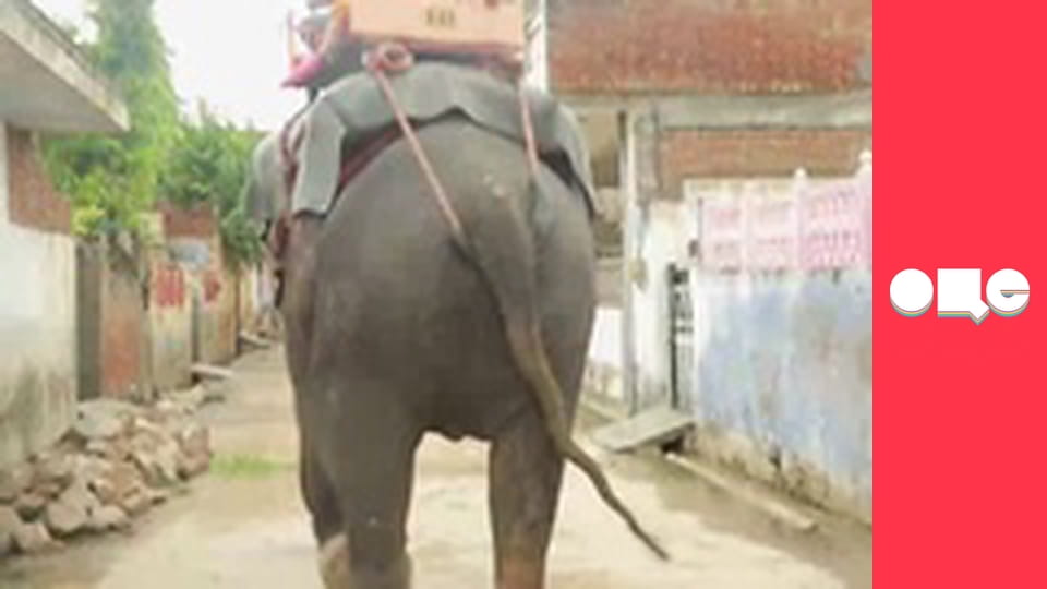 Особливості національної роботи, 1 сезон, 7 еп.