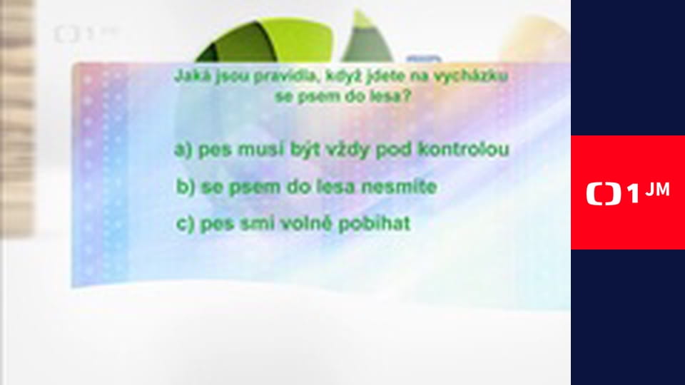 Postřehy odjinud - Káhira očima Štěpána Macháčka – Káhirský psí život